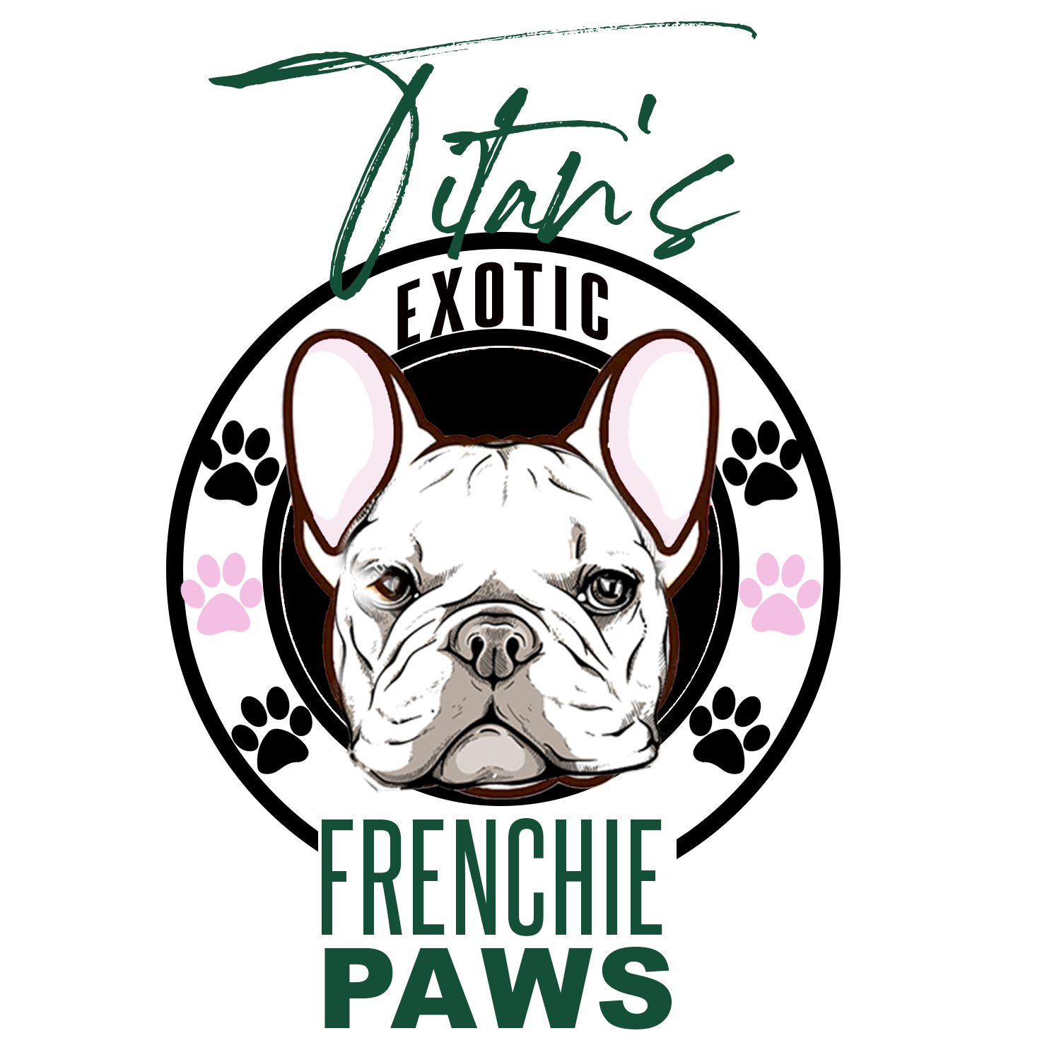 Titans Exotic Frenchie Paws